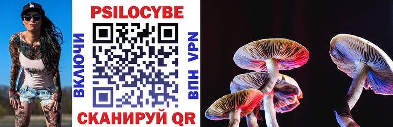 Галлюциногенные грибы Psilocybe  mega онион  Верея 